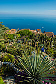  Mountain village above the sea, Jardin Exotique, Èze, Provence Alpes Côte d&#39;Azur, Southern France, France 