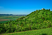  Kapellenberg near Wurmlingen, Tübingen, Swabian Alb, Baden-Württemberg, Germany 