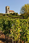 Our Lady of Parsac in the vineyards,Montagne,Gironde department,Aquitaine region,south-western France,Europe