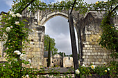 Rose garden of the Priory of St. Cosmas at La Riche near Tours in Touraine, department of  Indre-et-Loire,  Centre-Val de Loire region, France, Europe