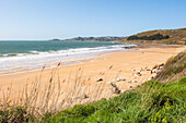 Beach of Beg Leguer, near Trebeurden,Cotes-d'Armor department,Region of Brittany,France,Europe