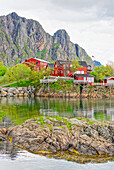  Typical houses, Svolvaer, Lofoten, Nordland, Norway 