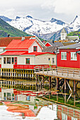  Typical houses, Svolvaer, Lofoten, Nordland, Norway 