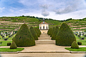  Belvedere and vineyard of the Saxon State Winery Schloss Wackerbarth or Wackerbarths Ruh&#39; in Niederlößnitz, Radebeul, Saxony, Germany 