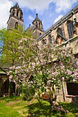 Germany, Saxony - Anhalt, Magdeburg, Dom, Cathedral, 