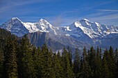  Schweiz, Bern, Interlaken, Schynige Platte, Eiger, Mönch, Jungfrau, Gipfel,  