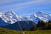  Schweiz, Bern, Interlaken, Schynige Platte, Mönch, Jungfrau, Gipfel,  
