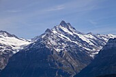  Schweiz, Bern, Interlaken, Schynige Platte, Laucherhorn, Gipfel,  