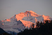 Switzerland, Berne, Interlaken,  Jungfrau, peak, 
