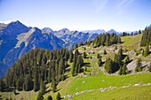 Switzerland, Berne, Interlaken,  Schynige Platte, mountain, scenery, landscape, 
