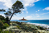 Insel mit Turm und roten Felsen, Ile d'or, Cap du Dramont, Saint-Raphaël, Massif de l'Esterel, Esterel-Gebirge, Département Var, Cote d'Azur, Provence-Alpes-Côte d'Azur, Frankreich