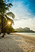 White sand beach and coconut palms, sunset, Pearl Beach, Koh Mook, Krabi Province, Trang, Southern Thailand, Andaman Sea, Thailand 