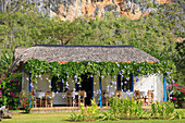 Cuba, Vinales, rural house, typical architecture, 