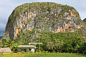 Cuba, Vinales, mogote, limestone cliff, rural house, 