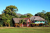 Cuba, Vinales Valley, Valle de Vinales, tobacco farm, 