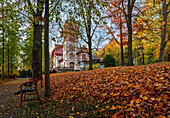  Autumn, Upper Franconia, Bavaria, Hof, City of Hof, Theresienstein, Citizens&#39; Park, Trees, Leaves, Sunlight 