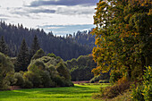  Autumn, trees, Upper Franconia 