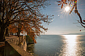  Autumn, Bavaria, Swabia, Lake Constance, Lindau, autumn leaves, sun, sunlight 