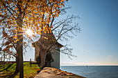  Autumn, Bavaria, Swabia, Lake Constance, Lindau, autumn leaves, sun, sunlight 
