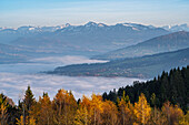 Herbst, Österreich, Vorarlberg, Pfänder, Fernsicht, Gipfel, Bäume, Wolken