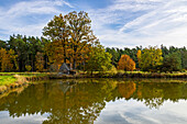  Autumn, Bavaria, Upper Palatinate, Tirschenreuth, pond pan, water, trees, leaves, reflection 