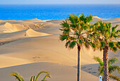 Sand dunes, Maspalomas, Playa del Ingles, Gran Canaria, Canary Islands, Spain