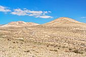 Desert landscape, Fuerteventura, Canary Islands, Spain