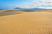 Parque Natural de Corralejo, Fuerteventura, Canary Islands, Spain