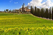  Agriturismo Poggio Covili in Val d&#39;Orcia, Tuscany, Italy 