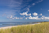  Dunes on the Baltic Sea, Bodden landscape, Fischland-Darss-Zingst, Mecklenburg-Western Pomerania, Germany 