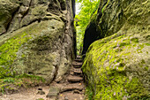  The Ritterschlucht Gorge in Oybin, Zittau Mountains, Upper Lusatia, Saxony, Germany 