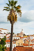 Overview of Alfama district from the belvedere Portas do Sol, Lisbon, Portugal, Europe