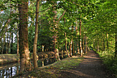 footpath on the banks of the Canal de l'Eure or Canal Louis XIV at Maintenon, Eure-et-Loir department , Centre-Val de Loire region, France, Europe