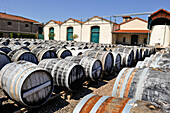 Barrels of Noilly-Prat wine at Marseillan,Herault department,Languedoc-Roussillon, Occitanie region,France,Europe