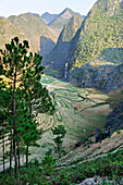 Sa Phyn valley,near Dong Van, Ha Giang province, Northern Vietnam, Southeast Asia
