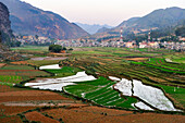 Rice-paddies at Dong Van, Ha Giang province, Northern Vietnam, Southeast Asia