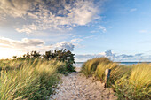  Dune path to the beach in Heiligenhafen, Baltic Sea, Ostholstein, Schleswig-Holstein, Germany 
