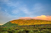 Morgenstimmung mit Blick auf einen der vielen leuchtenden Berge im Acadia Nationalpark, Park Loop Road, Mount Desert Island, Maine, USA