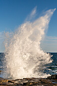 Brechende Wellen auf die Felsen im Atlantik, Schoodic Peninsula, Halbinsel im Acadia National Park, Winterharbor, Maine, Ostkueste, USA