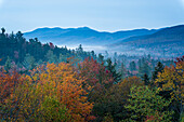  Autumn foliage in the Withe Mountains, morning mood, fall foliage, autumn coloring, Kancamagus Highway, New Hampshire, USA 