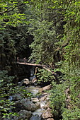 Canyoning in der Starzlachklamm, Sonthofen, Oberallgäu, Schwaben, Bayern, Deutschland