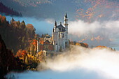  Neuschwanstein Castle, Schwangau, Allgäu, Swabia, Bavaria, Germany 