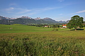  Landscape near Hopferau, Allgäu, Swabia, Bavaria, Germany 