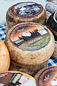 Pecorino cheese from the Val d'Orcia region near Siena, for sale at the stall, Mostra Mercato del Tartufo Bianco market, Crete Senesi, San Giovanni d'Asso, Tuscany, Italy