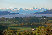  Panoramic view of the Swiss mountains from Herrgottswiesen, a district of Gestratz, Allgäu, Swabia, Bavaria, Germany 