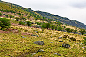 Unterwegs auf der Llanberis Pass-Straße A4086 durch den Eryri-Nationalpark, Gwynedd, Wales, Großbritannien