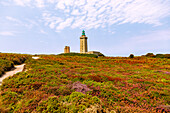 Cap Frehel with lighthouse and blooming heather on the Côte d&#39;Émeraude, Cotes d&#39;Armor, Brittany, France 