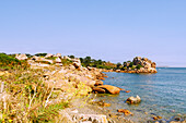 Cote de Granit Rose mit Felsen und Zöllnerpfad (Sentier des Douaniers) zwischen Perros-Guirec und Ploumanac'h, Cotes d'Armor, Bretagne, Frankreich