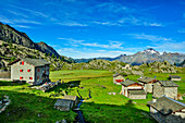  Alpine settlement Prabello with Rifugio Cristina hut, Monte Disgrazia in the background, Valmalenco, Alta via della Valmalenco, Bernina Alps, Lombardy, Italy 