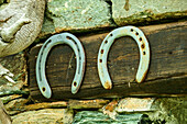  Horseshoes at traditional alpine pasture, Valmalenco, Alta via della Valmalenco, Bernina Alps, Lombardy, Italy 